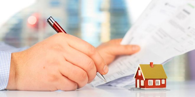 conseils maison pro